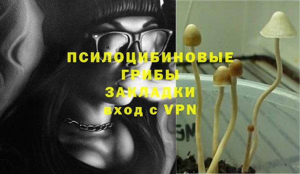 шишки Арсеньев