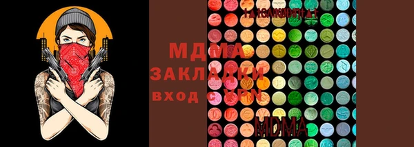 шишки Арсеньев