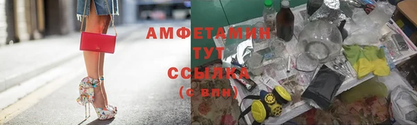 шишки Арсеньев