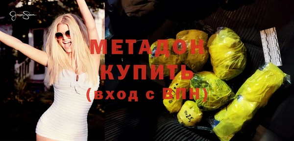 шишки Арсеньев
