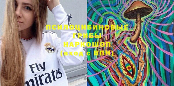 шишки Арсеньев