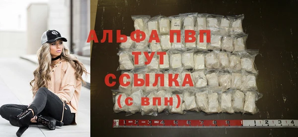 шишки Арсеньев