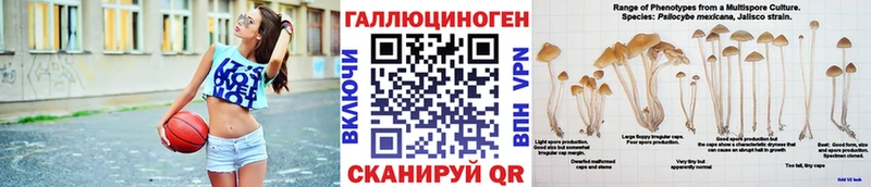 гидра рабочий сайт  дарнет шоп  Муравленко  Псилоцибиновые грибы GOLDEN TEACHER 