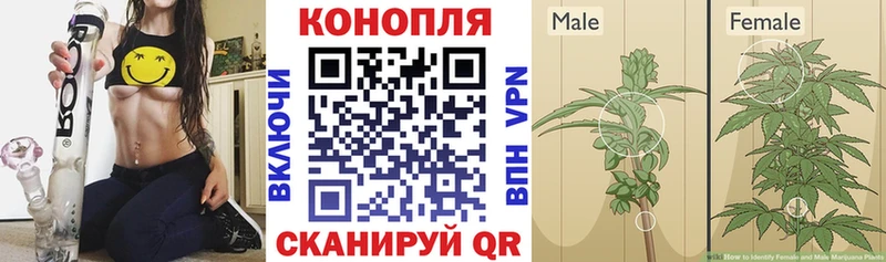 omg tor  закладки  Муравленко  МАРИХУАНА планчик 