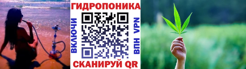 Марихуана план Муравленко